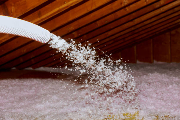 Best Types of Insulation in Wellington, FL
