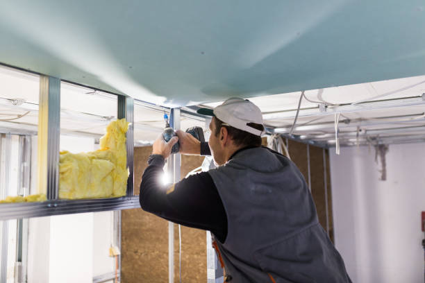 Best Insulation Maintenance and Repair in Wellington, FL